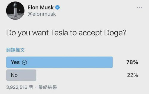 Dogecoin mining process in action